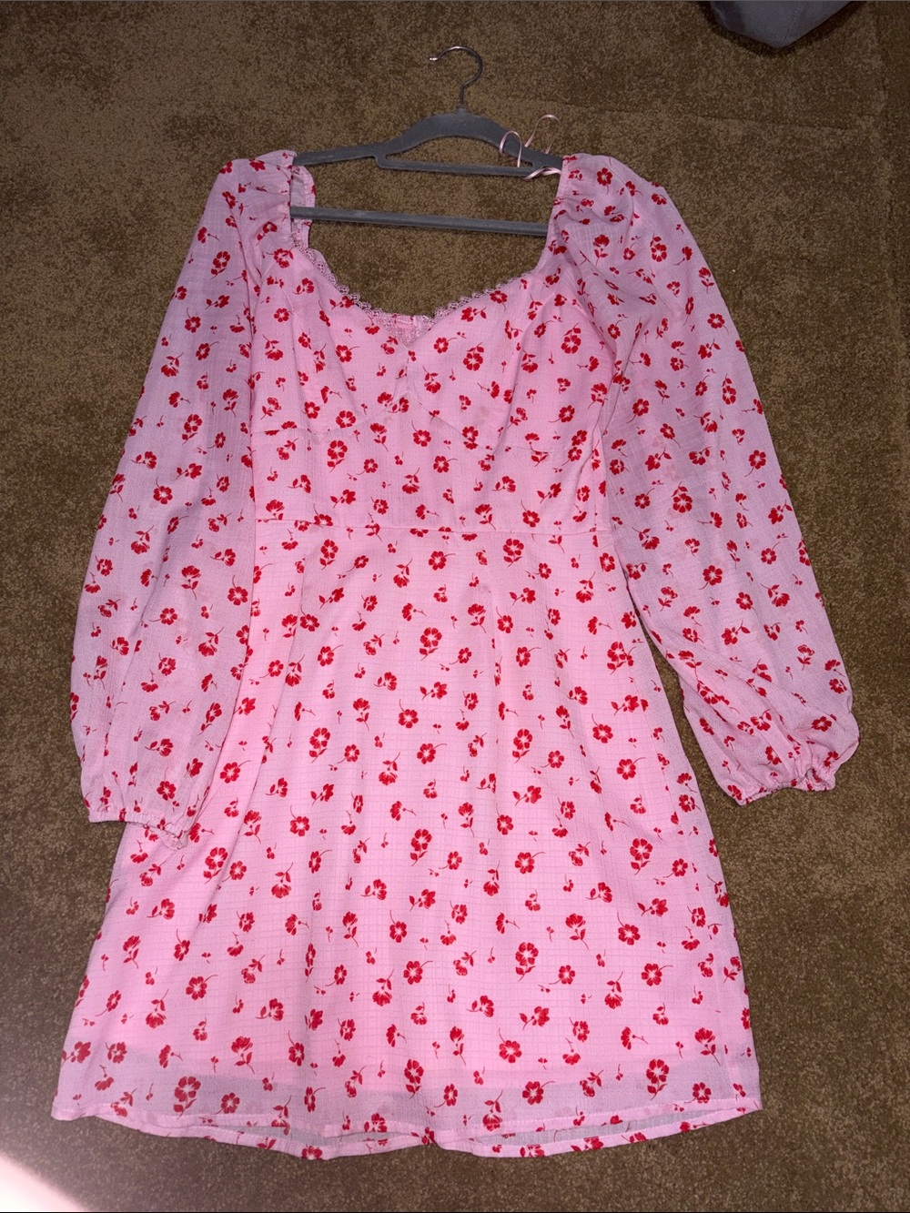Francesca's Collections Pink Mini Dress with Red Floral Print